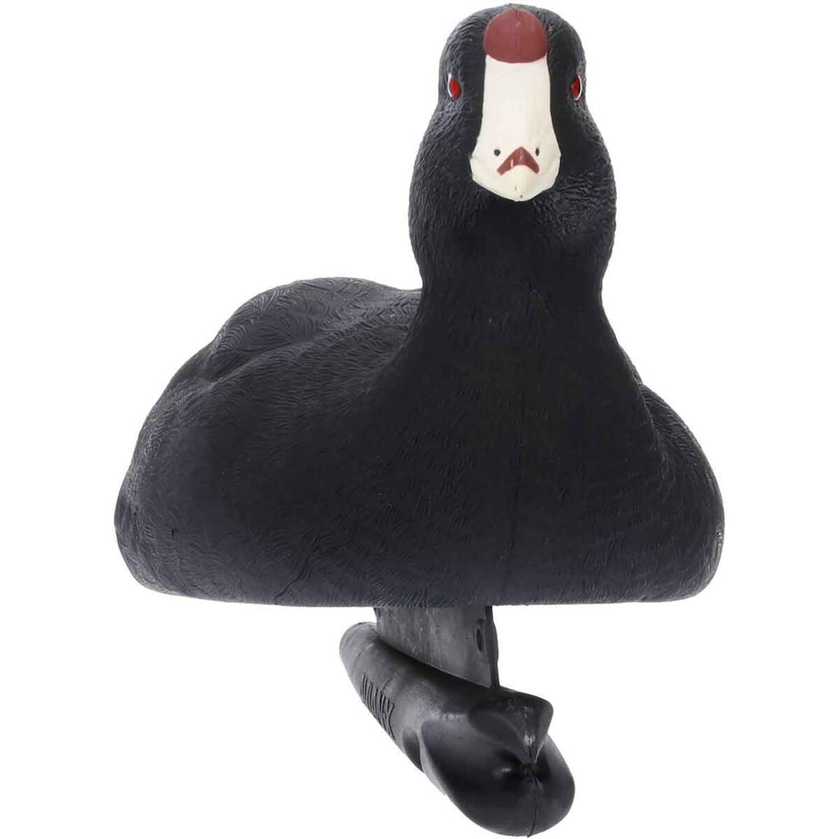 Avian X Top Flight Coot Duck Decoys - 6 Pack