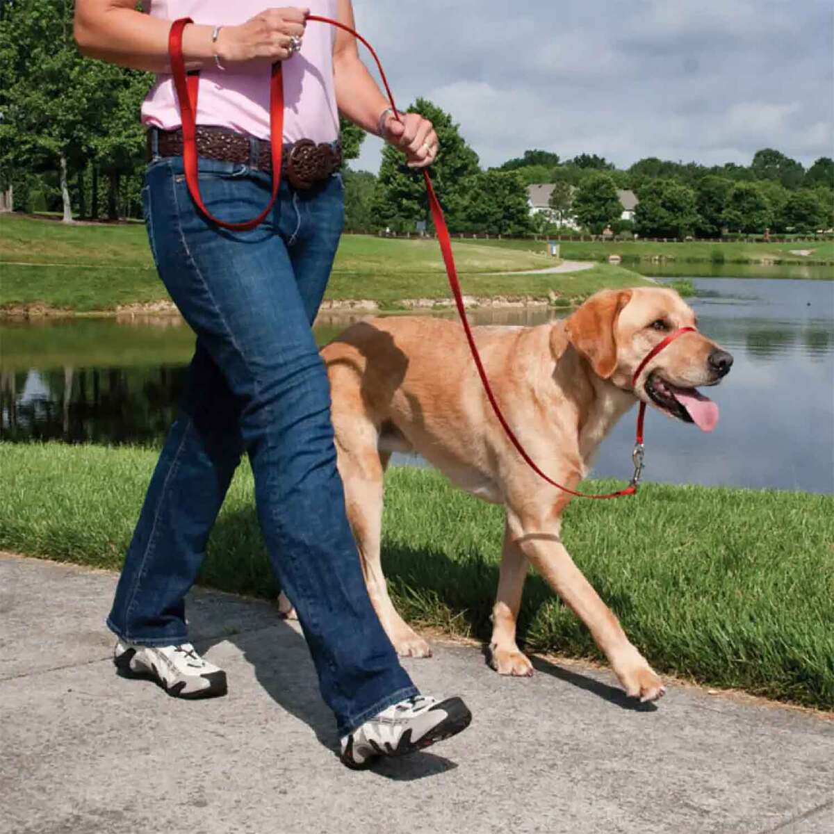 PetSafe Gentle Leader Red Headcollar 4 PetSafe Gentle Leader Red Headcollar