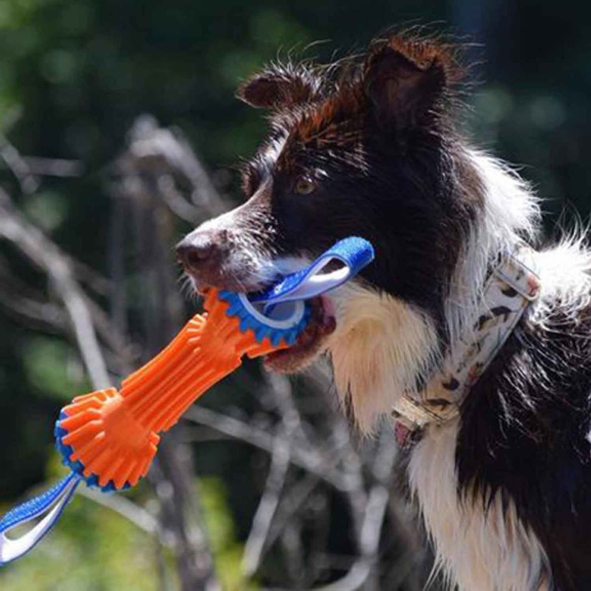 Chuckit Rugged Bumper