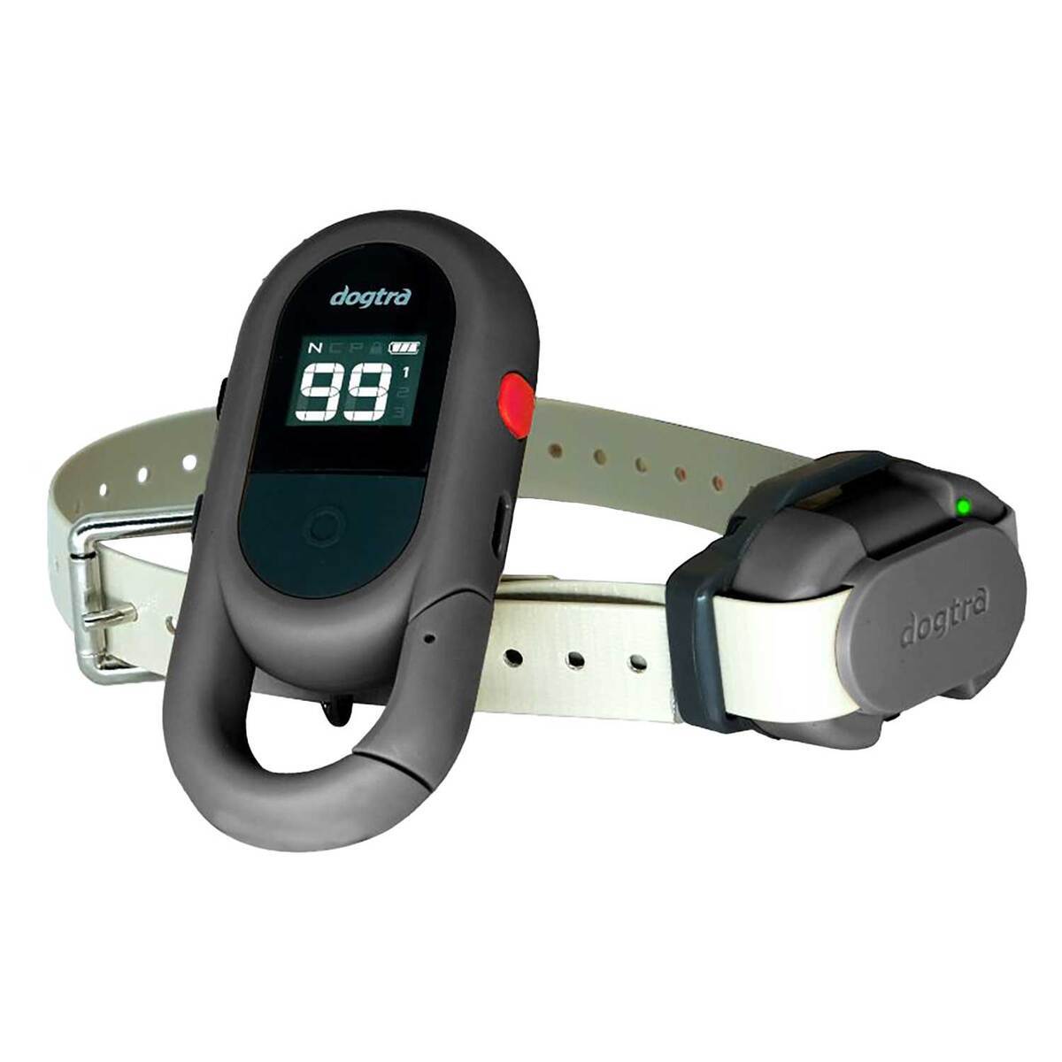 Dogtra Cue Gen2 Electronic Training Collar