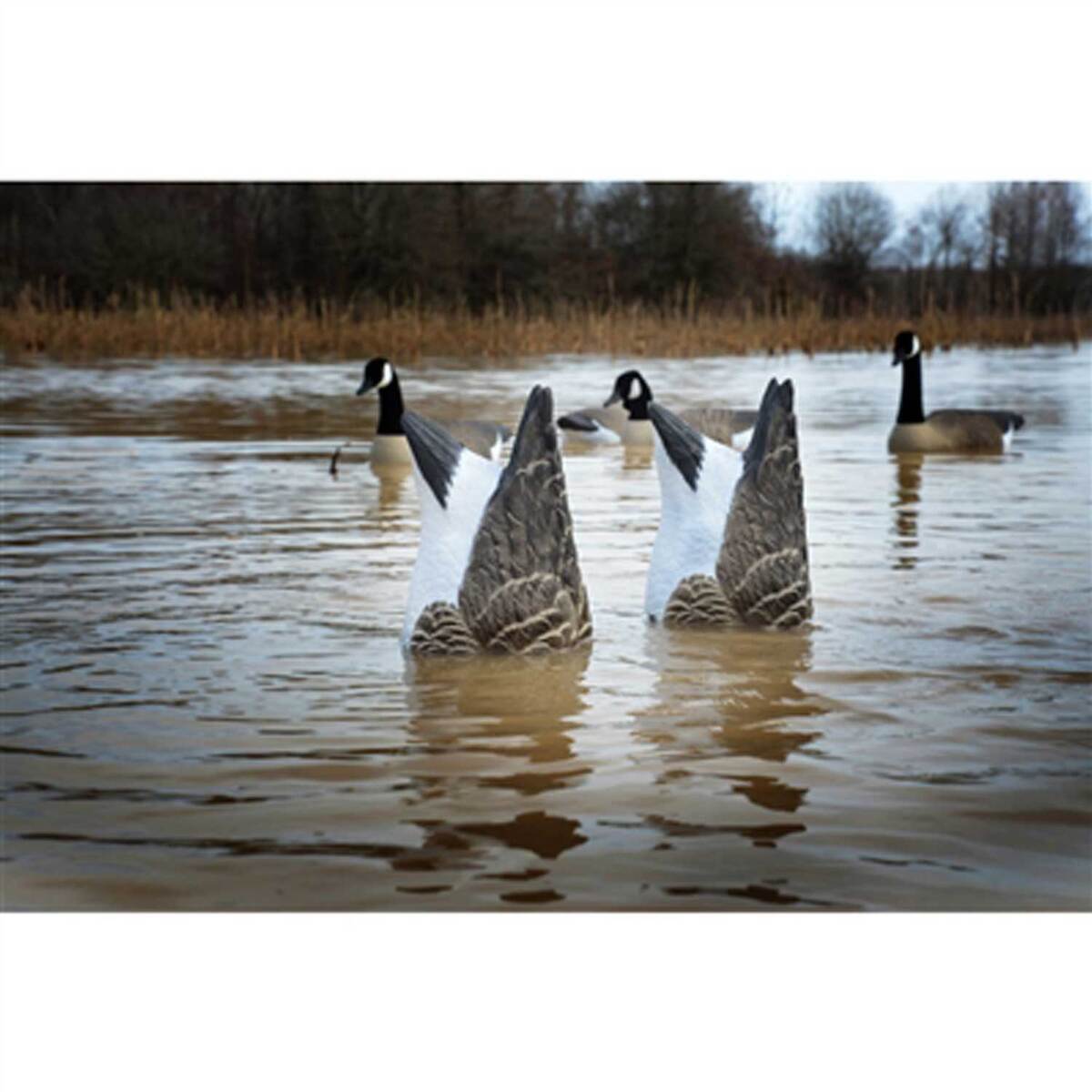 Higdon Magnum Canada Goose Butt Decoys - 2 Pack 3 Higdon Magnum Canada Goose Butt Decoys - 2 Pack