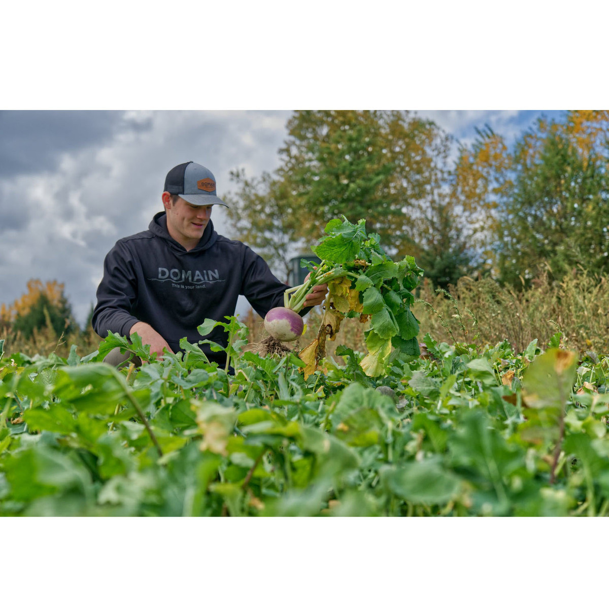 Domain Outdoor Sugar Momma Deer Food Plot Mix 3 Domain Outdoor Sugar Momma Deer Food Plot Mix