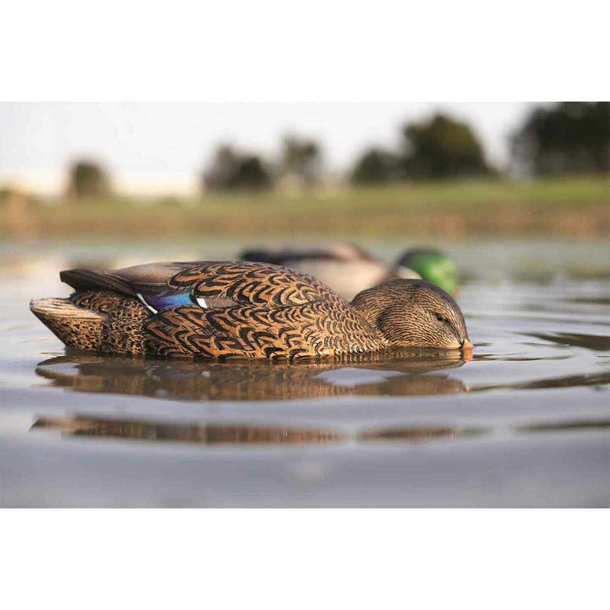 Avian X Power Shaker Mallard Hen Surface Feeder Motion Decoy