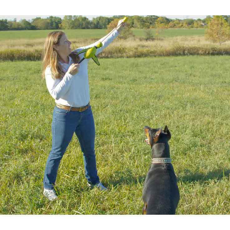 Hyper Pet Flying Series Slingshot Toy