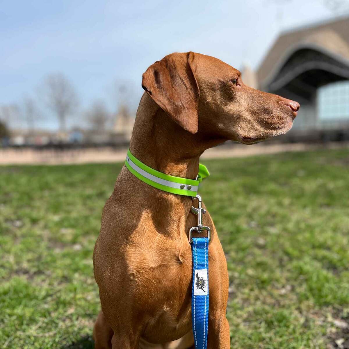 ROCT Outdoors Upland Field Collar w/ Reflective Band Traditional Collar 3 ROCT Outdoors Upland Field Collar w/ Reflective Band Traditional Collar