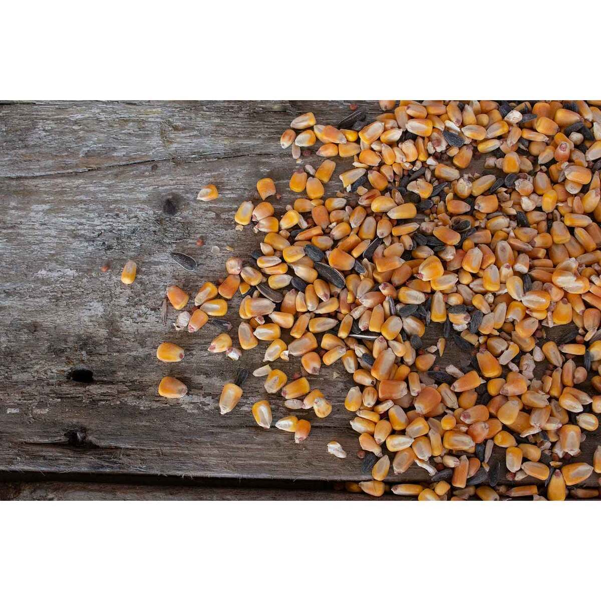 Big Tine Fortified Deer Blend Attractant - 40lbs 3 Big Tine Fortified Deer Blend Attractant - 40lbs