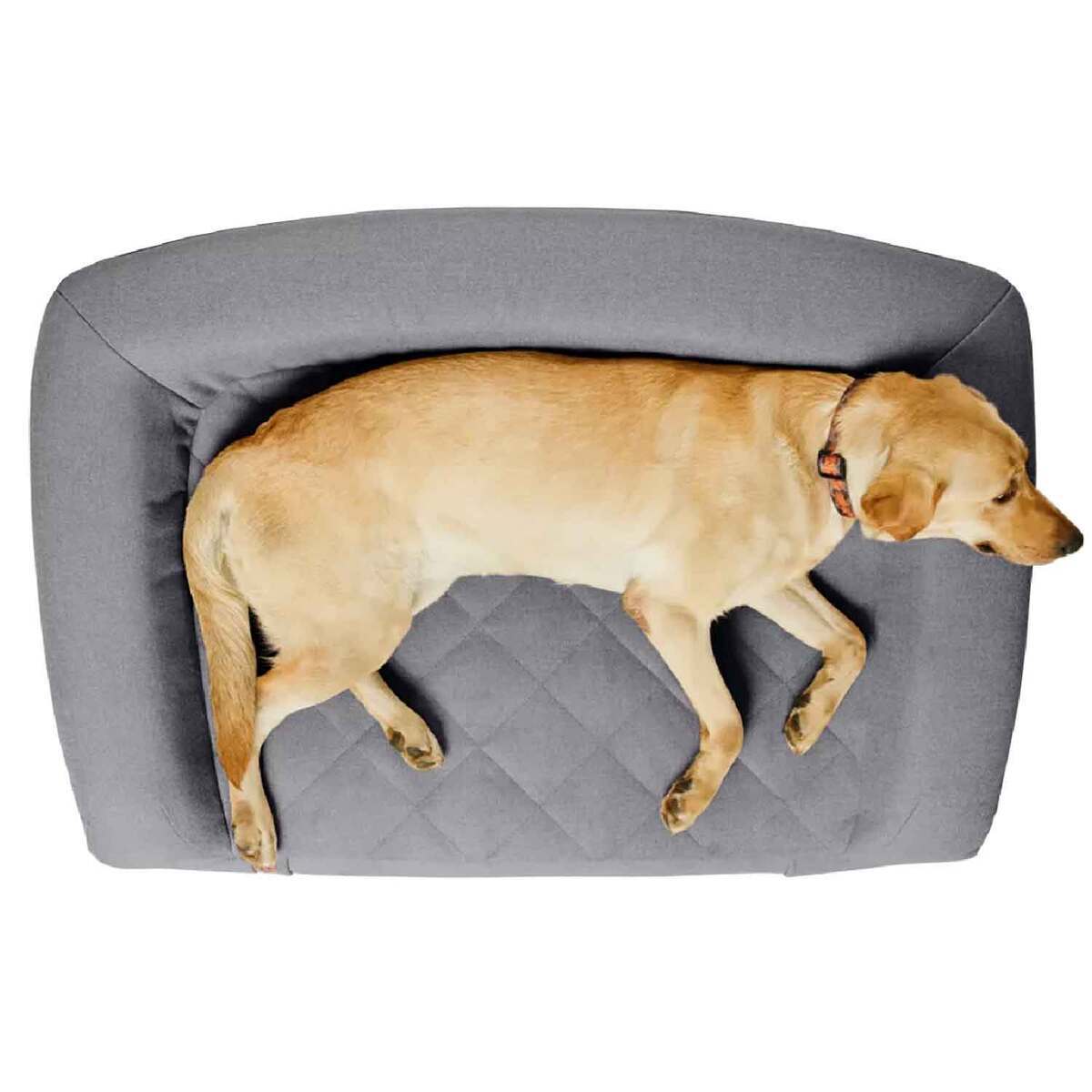 Orvis RecoveryZone ToughChew Couch Dog Bed 6 Orvis RecoveryZone ToughChew Couch Dog Bed