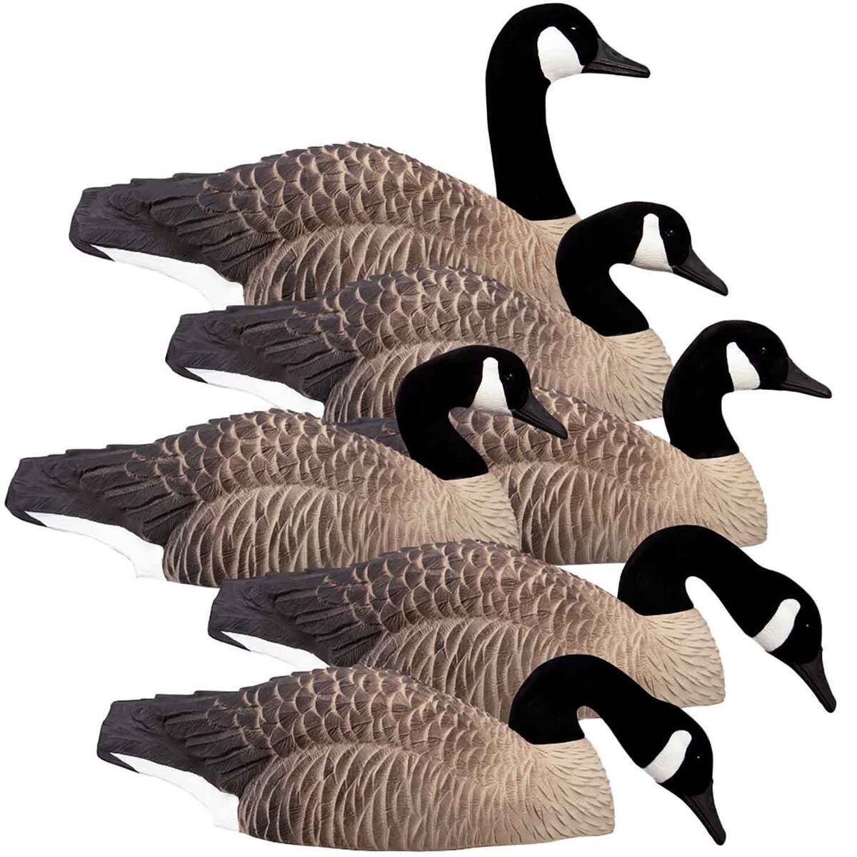 Higdon Magnum Half-Shell Canada Goose Decoy - 6 Pack