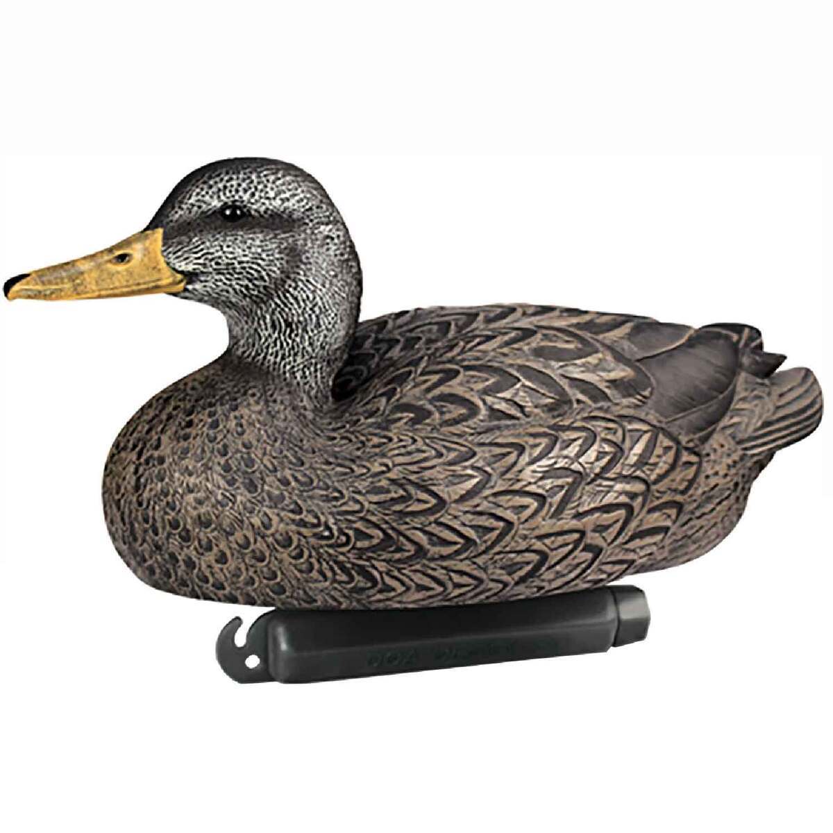 DOA Black Duck-6 Pack