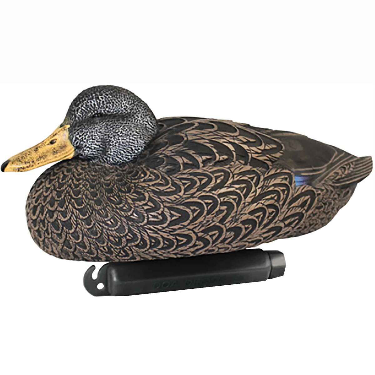 DOA Black Duck-6 Pack