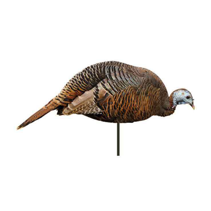 Montana Decoy Dinner Belle Feeding Hen Turkey Decoy