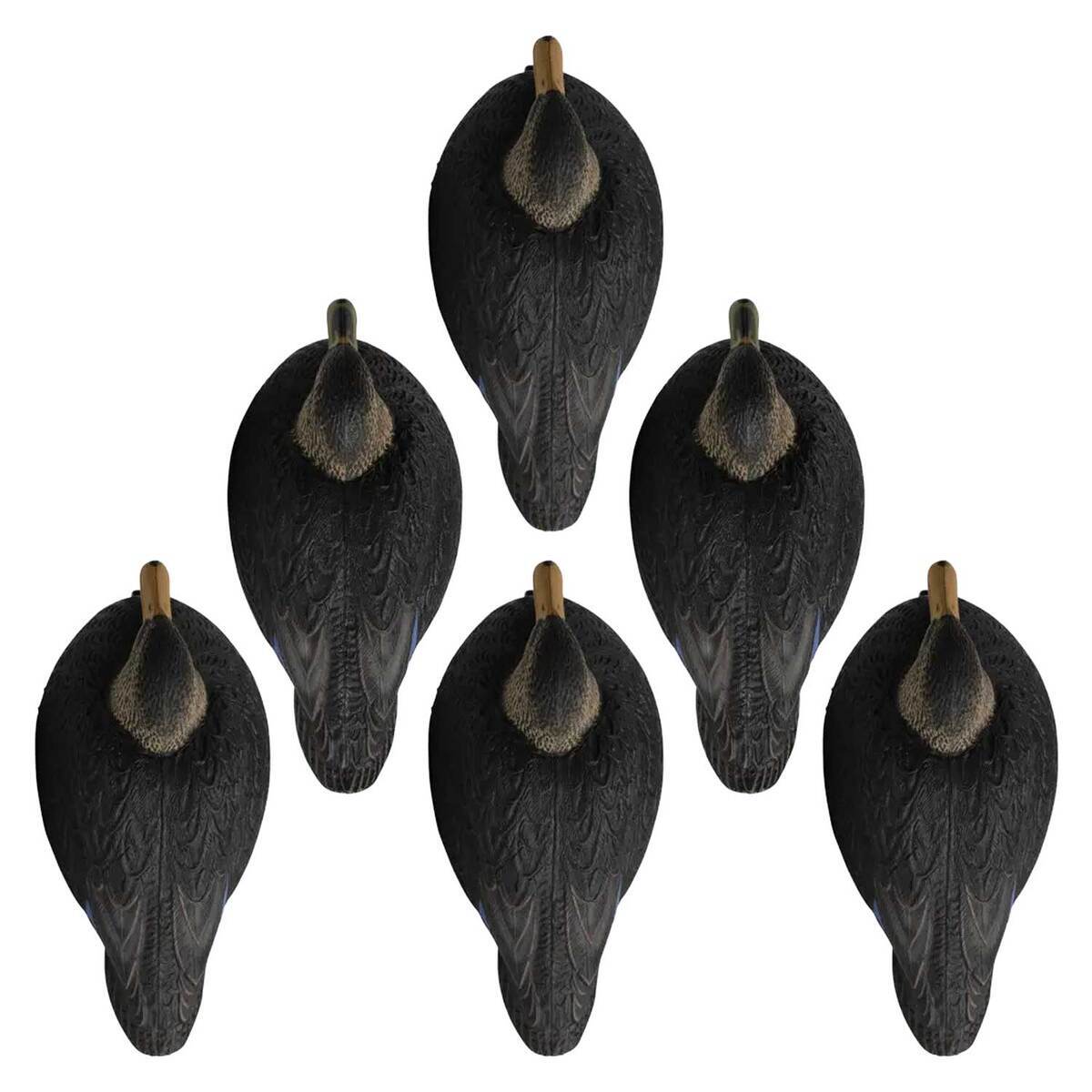 Hardcore Rugged Series Magnum Black Duck Decoys - 6 Pack 3 Hardcore Rugged Series Magnum Black Duck Decoys - 6 Pack
