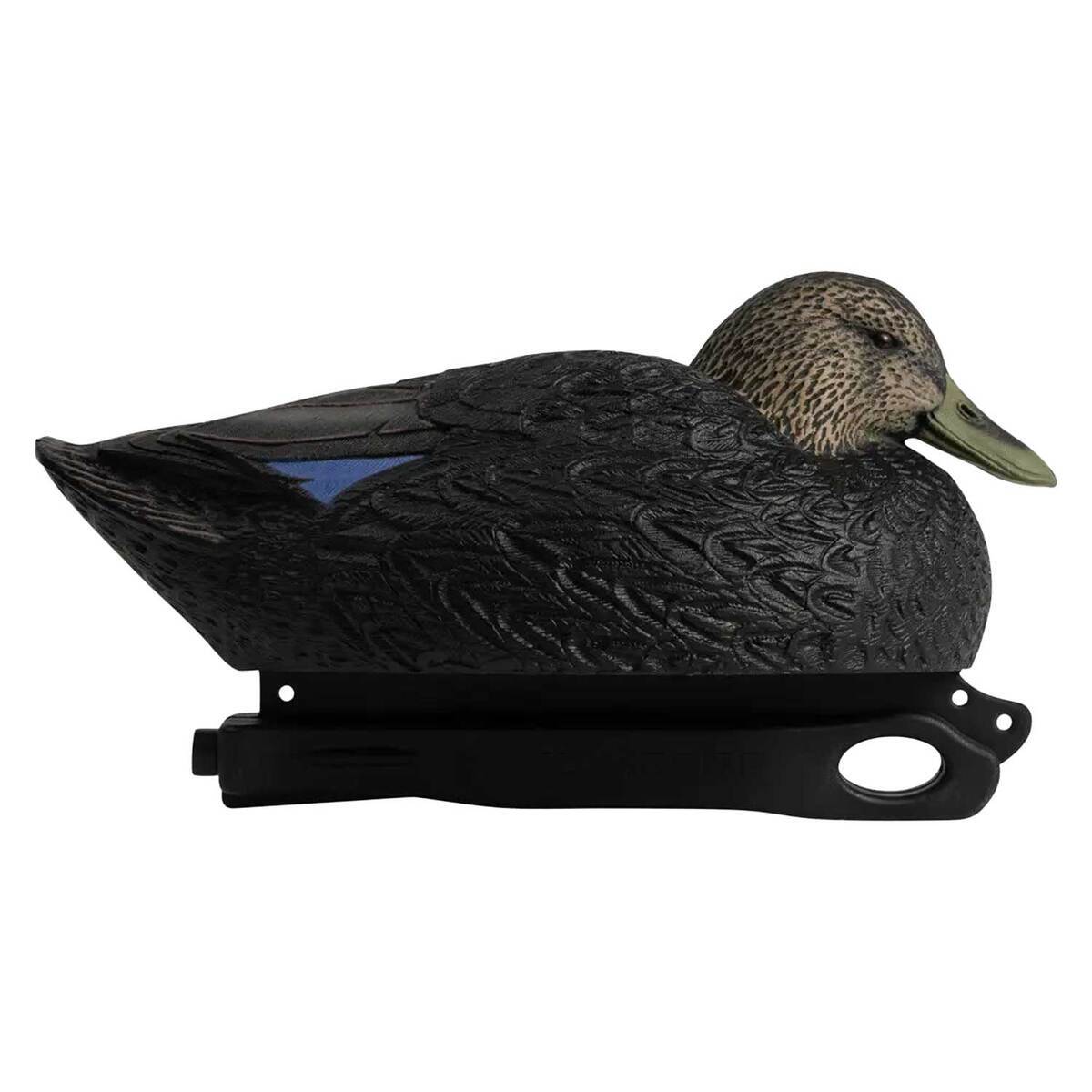 Hardcore Rugged Series Magnum Black Duck Decoys - 6 Pack 5 Hardcore Rugged Series Magnum Black Duck Decoys - 6 Pack