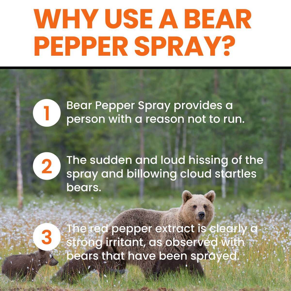 UDAP 9.2oz Bear Sprays 5 UDAP 9.2oz Bear Sprays