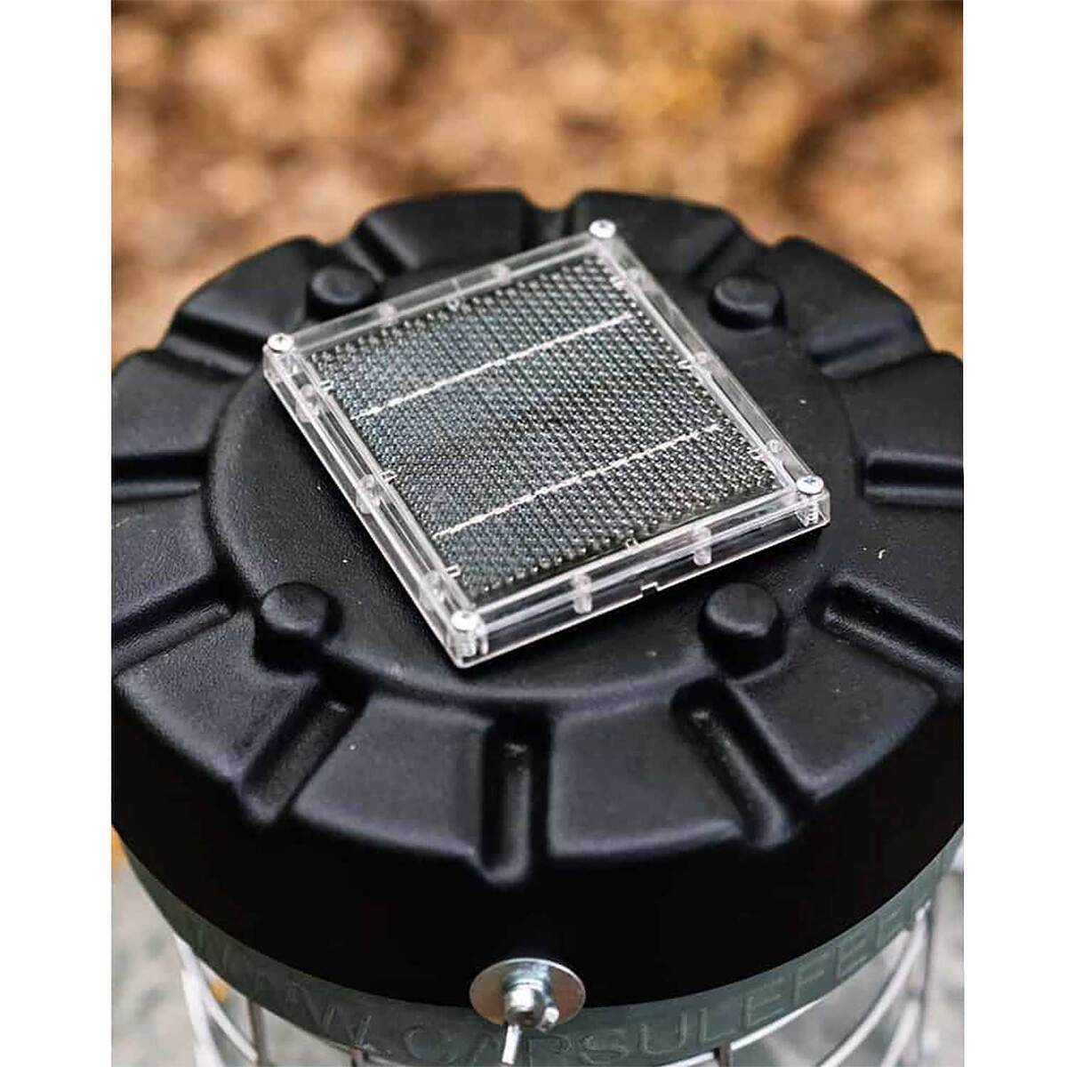 Capsule 250lb Feeder