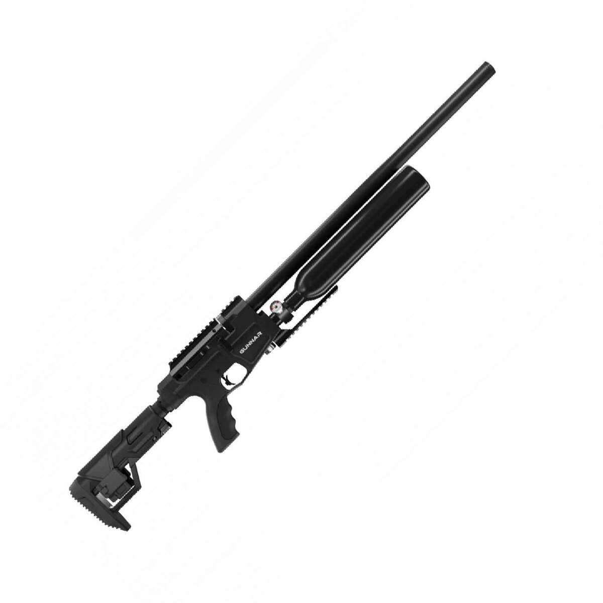 Benjamin Gunnar 22 Caliber Air Rifle