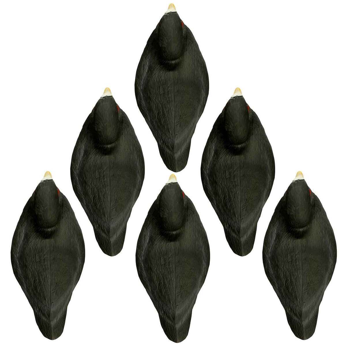 Higdon Decoys Standard Coot Duck Decoys - 6 Pack