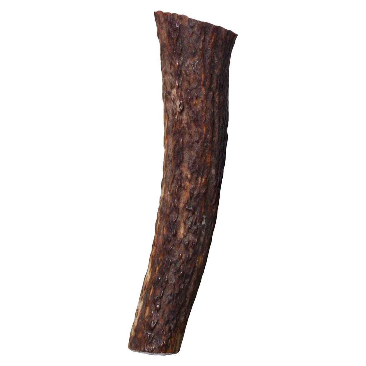 KONG Whole Wild Elk Antler - Large