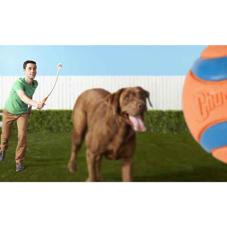 Canine Hardware Chuckit