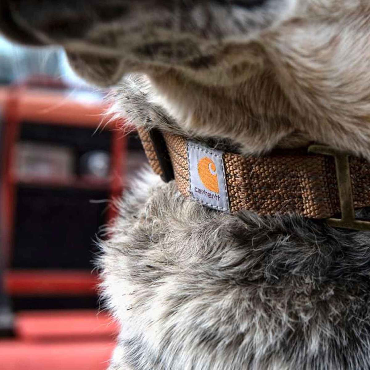Carhartt Trademan Collar