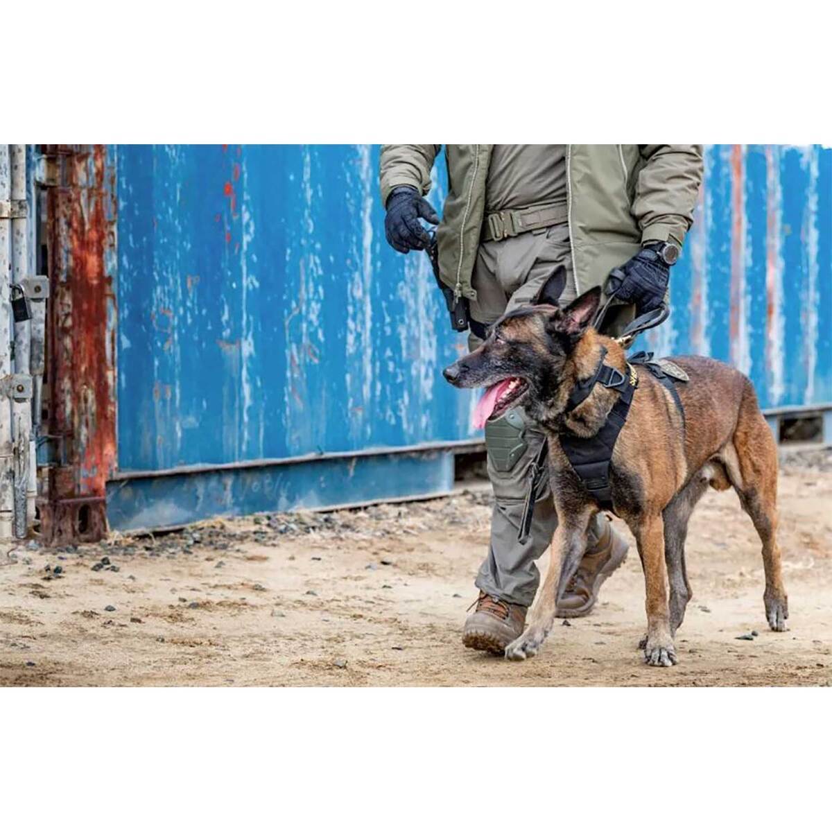 AROS K9 HARNESS - RGR GRN-XL 5 AROS K9 HARNESS - RGR GRN-XL