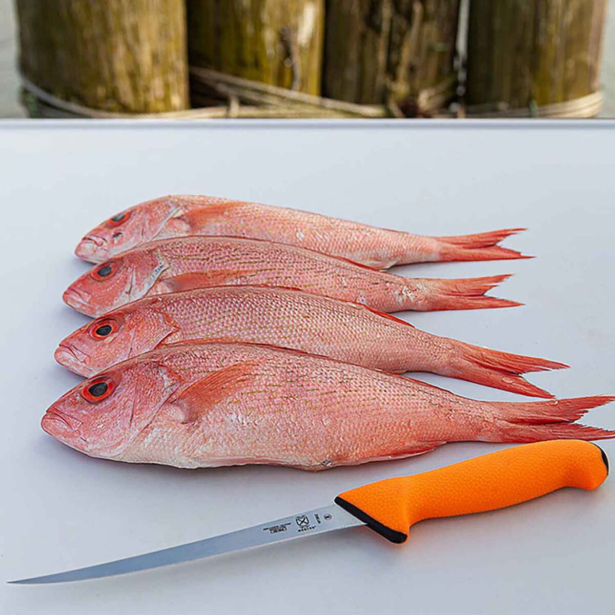 Mercer Sport Narrow Fillet Knife - Orange, 7in 4 Mercer Sport Narrow Fillet Knife - Orange, 7in