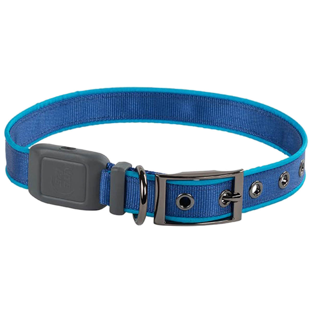 NiteDog Rechargeable XL Dog Collar