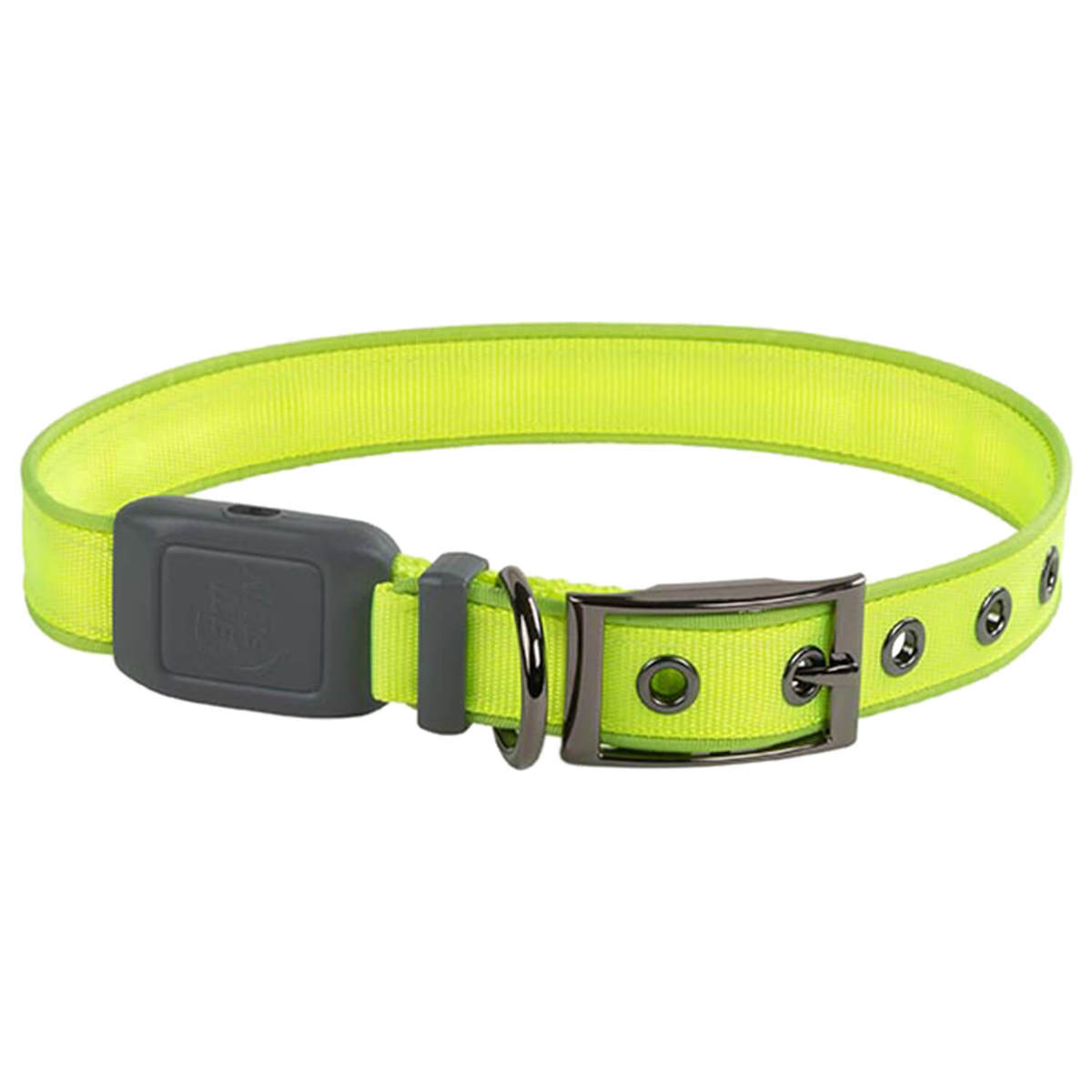NiteDog Rechargeable XL Dog Collar 3 NiteDog Rechargeable XL Dog Collar