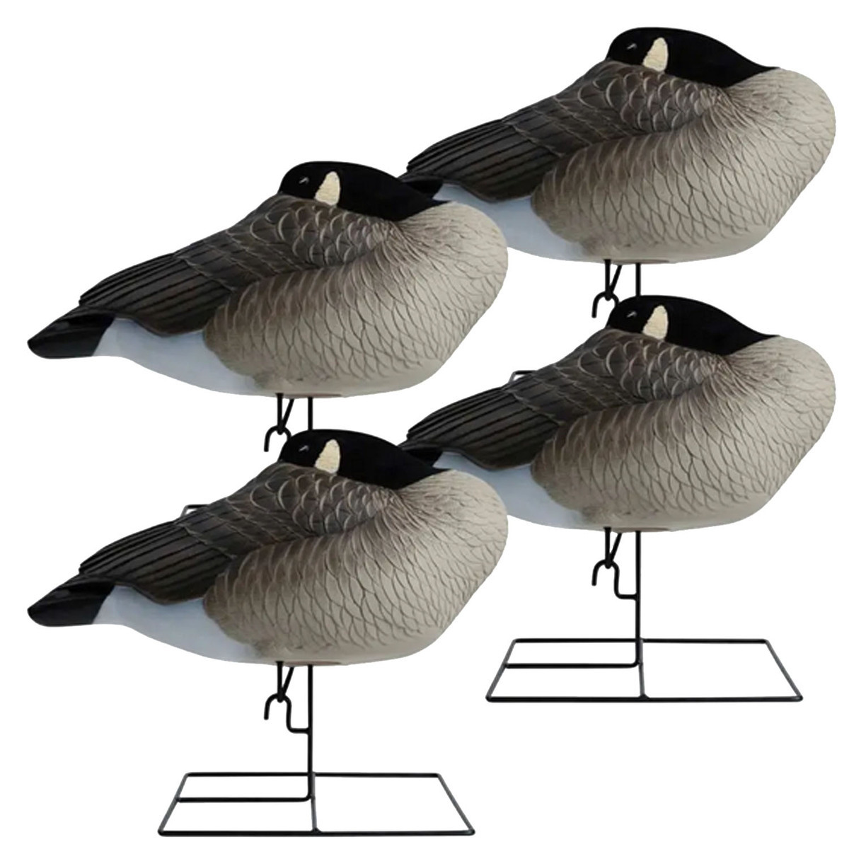 Hardcore Rugged Series Canada Goose Flocked Head Sleeper Decoy - 4 Pack