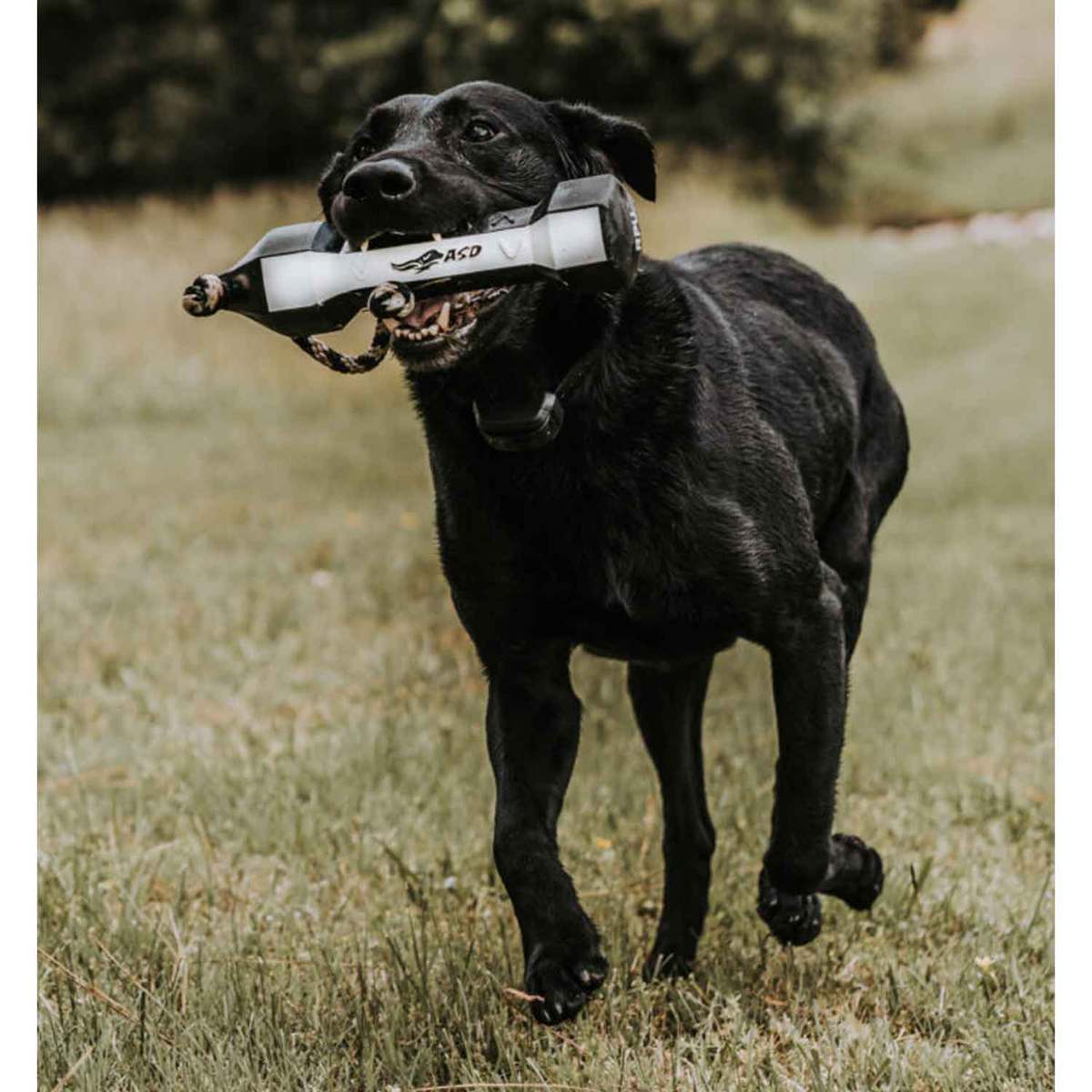 Avery Sporting Dog PerfectHold HexaBumper Dog Training Bumper - Orange