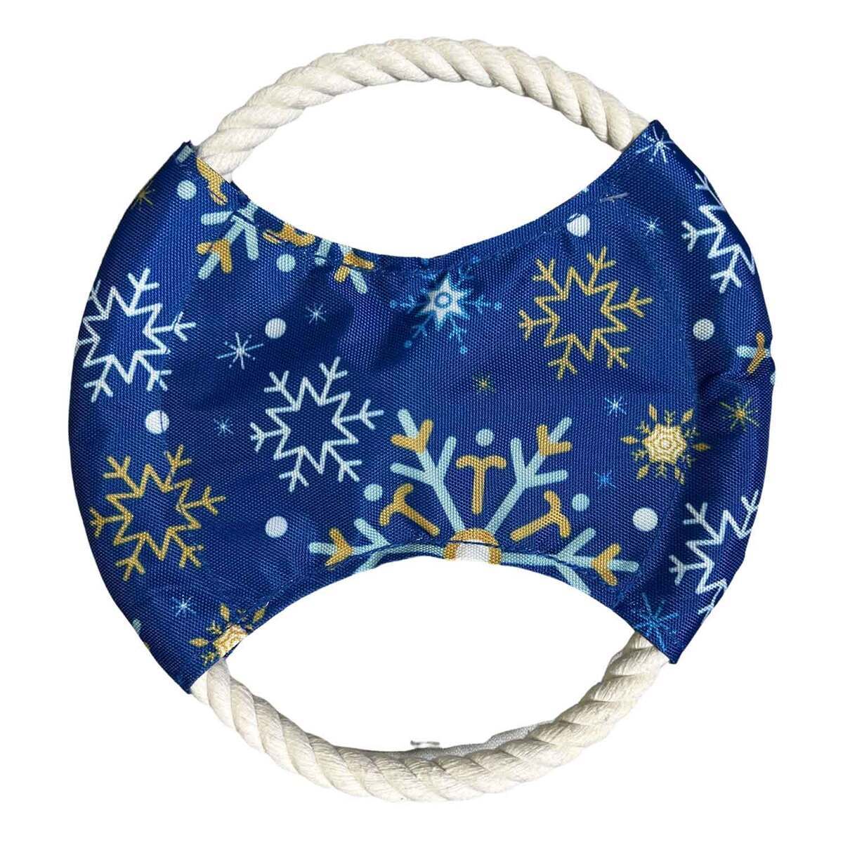 ROCT Outdoor Winter Frisbee Dog Toy - Blue