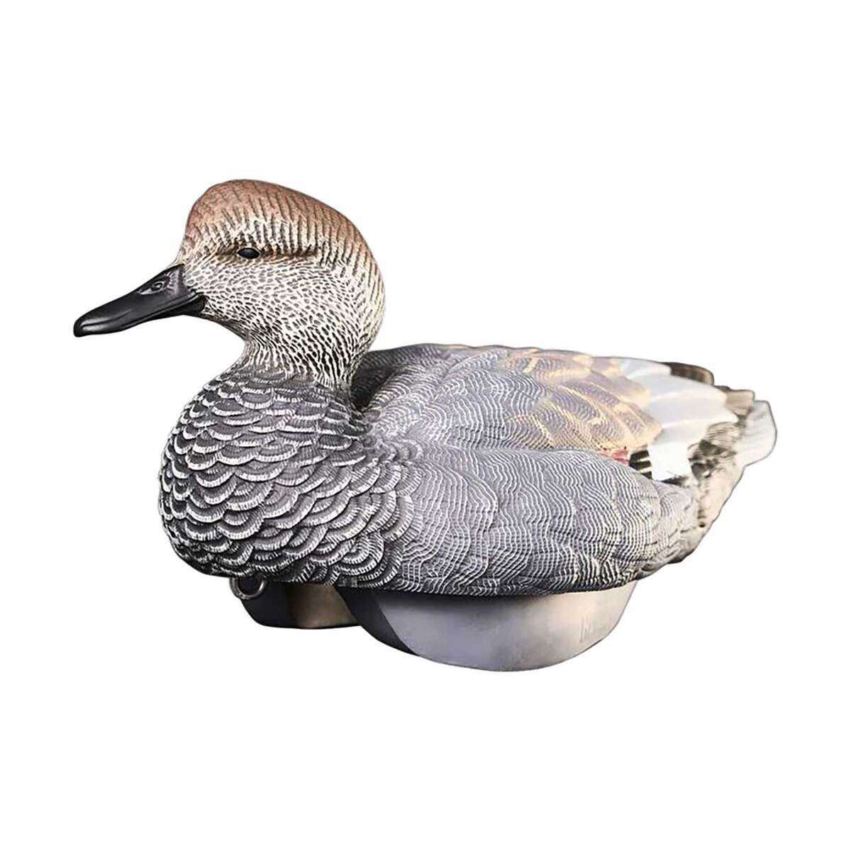 Heyday HydroFoam Gadwall Decoys - 6 Pack