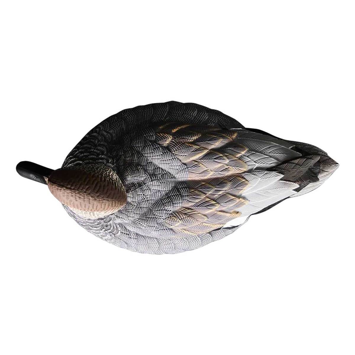 Heyday HydroFoam Gadwall Decoys - 6 Pack 3 Heyday HydroFoam Gadwall Decoys - 6 Pack