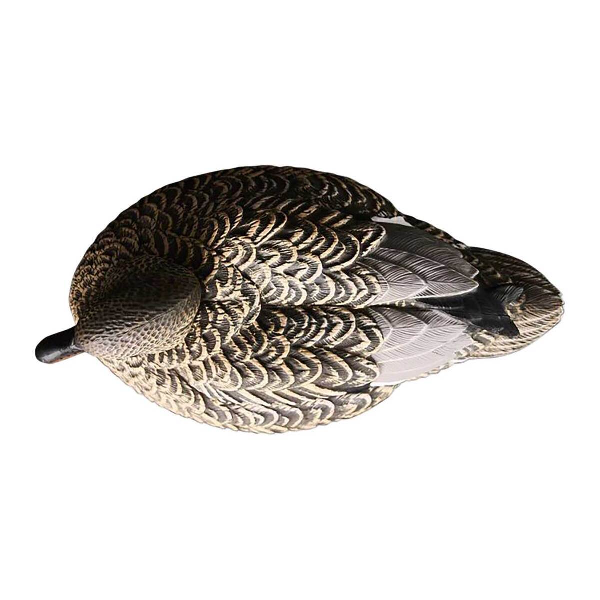 Heyday HydroFoam Gadwall Decoys - 6 Pack 4 Heyday HydroFoam Gadwall Decoys - 6 Pack