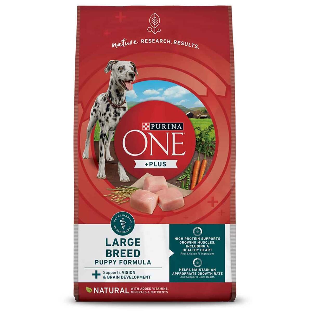 Purina ONE +Plus Large Breed Puppy Formula Dry Dog Food