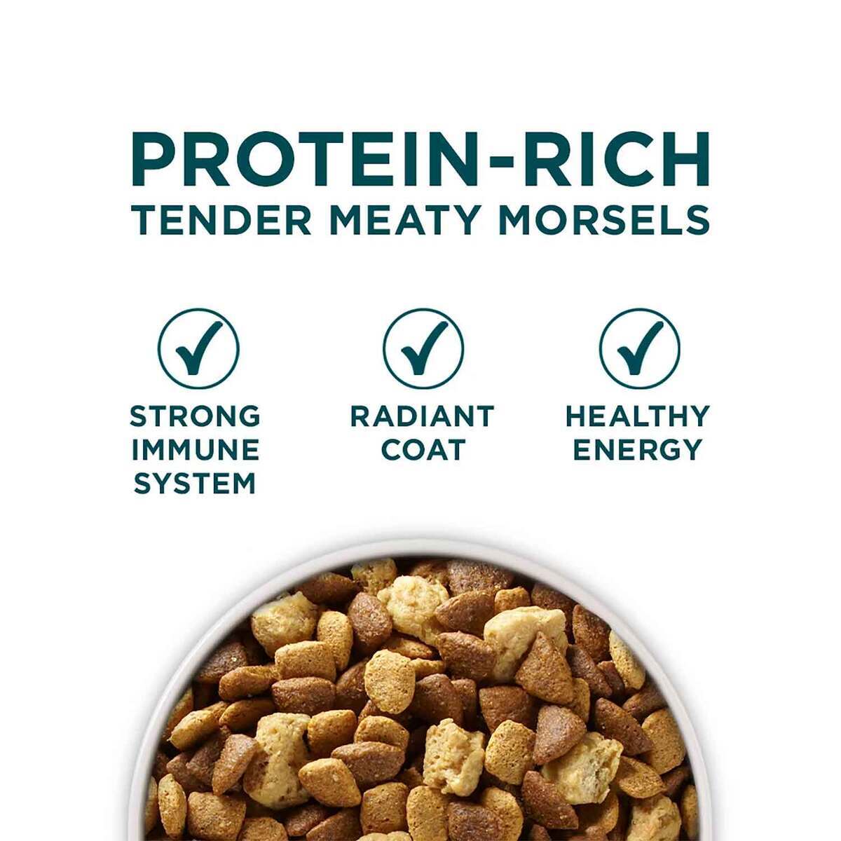 Purina ONE +Plus Large Breed Puppy Formula Dry Dog Food