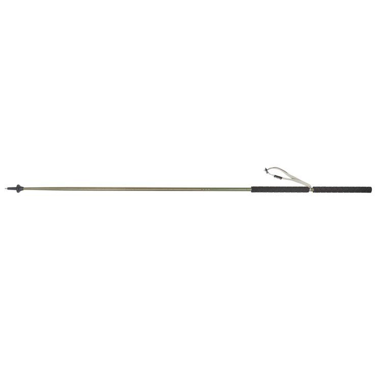 Kelty Strider Trekking Pole