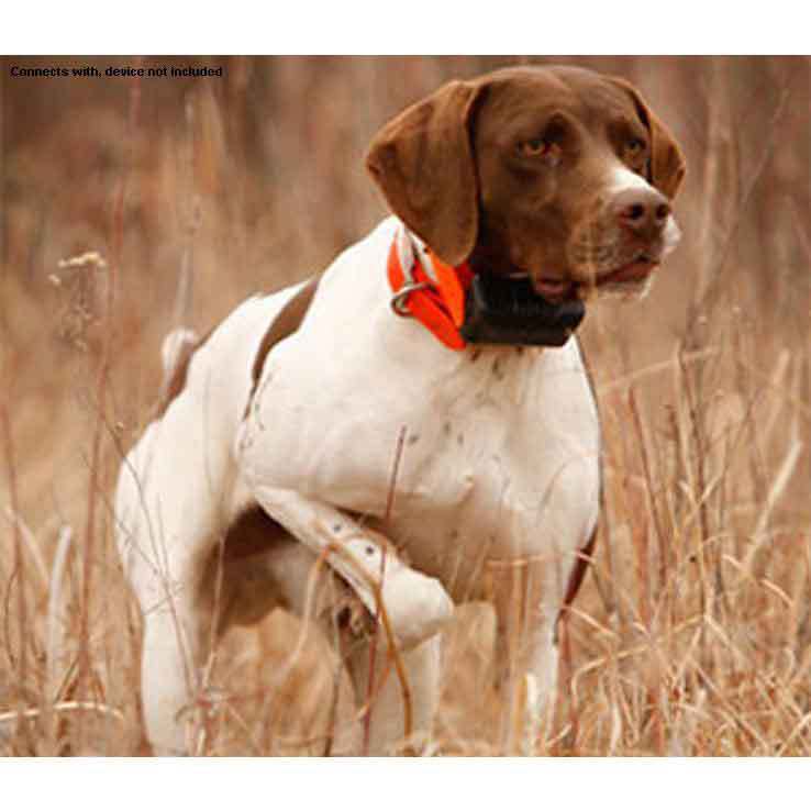 Garmin Astro Magnetic Mount Antenna