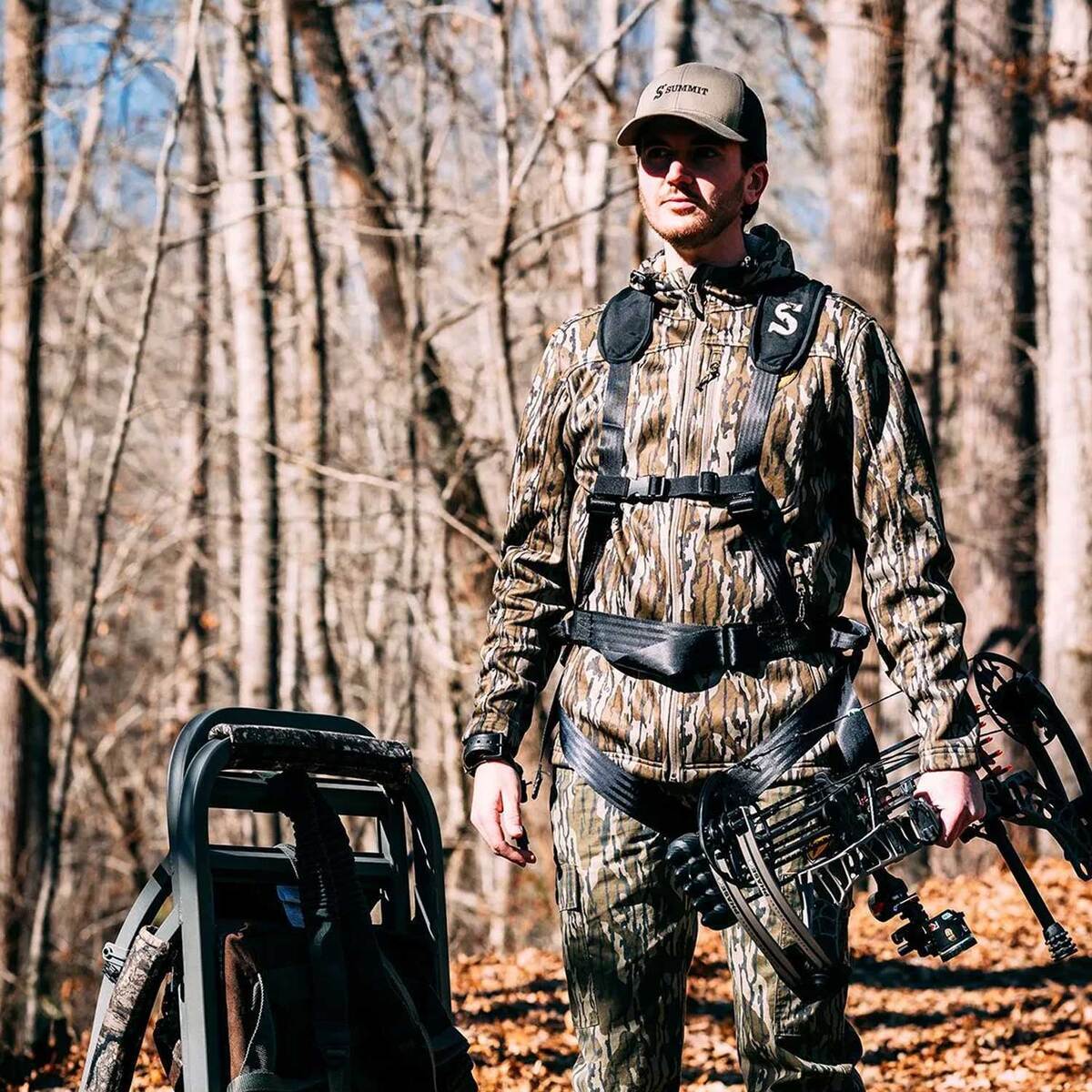 Summit Element Safety Harness