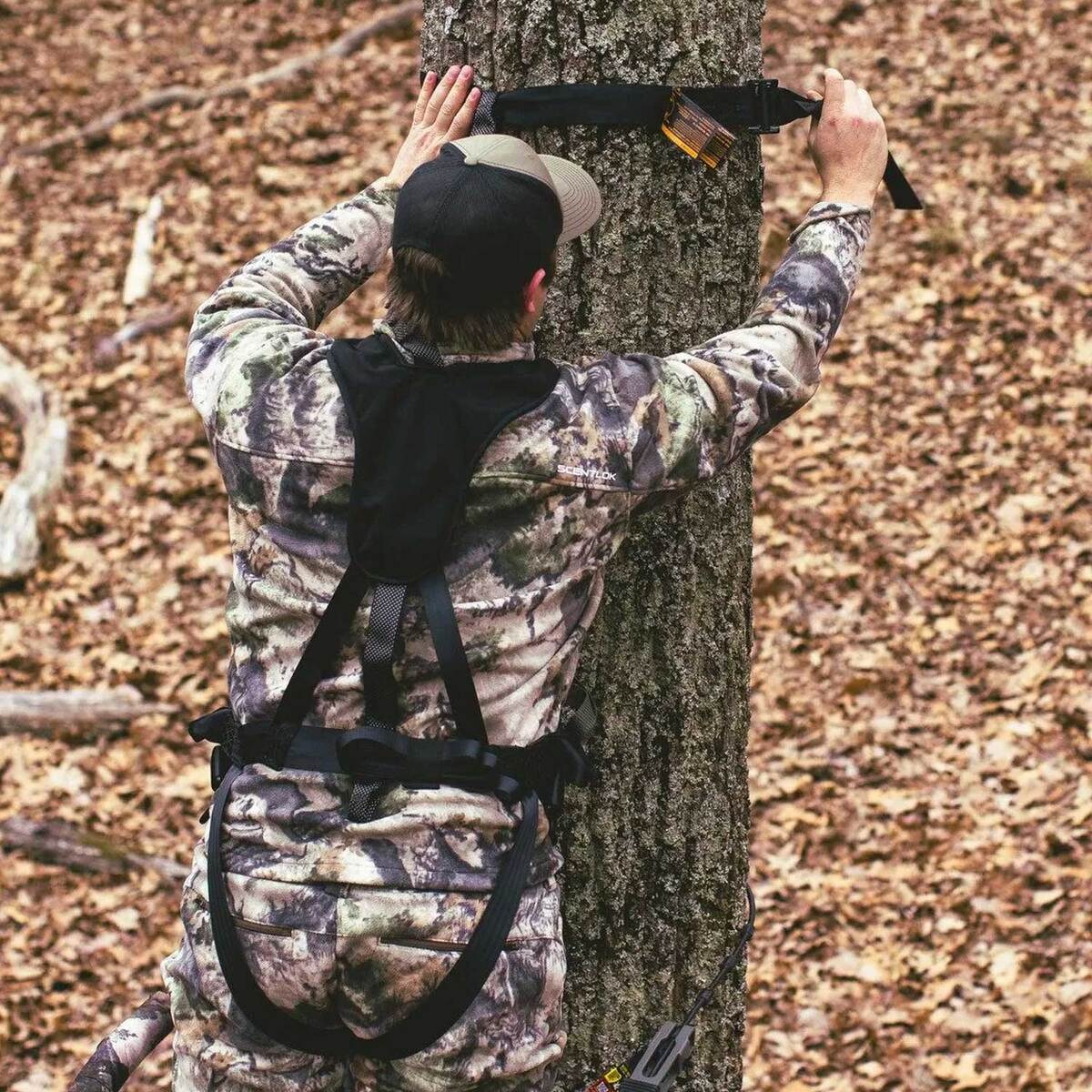 Summit Element Safety Harness