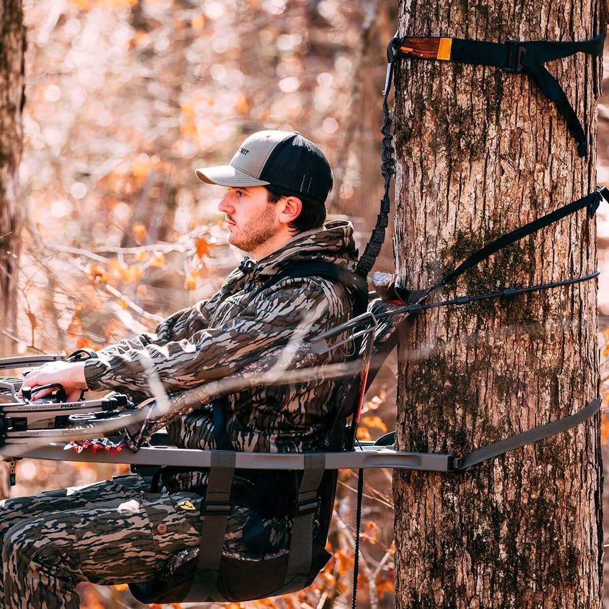 Summit Element Safety Harness