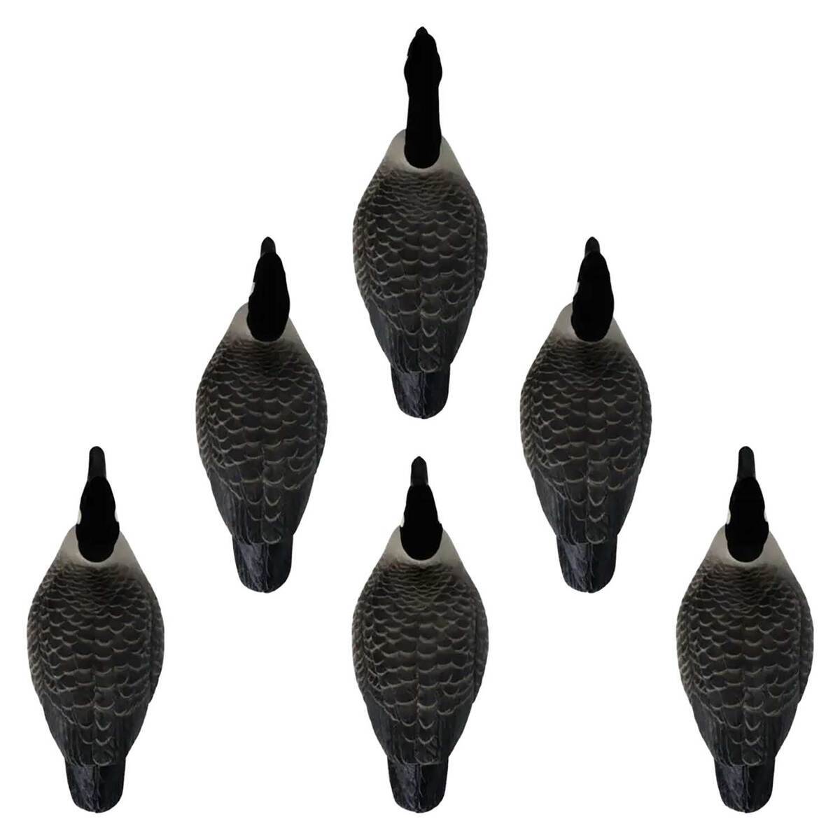 Hardcore Rugged Series Canada Goose Decoys - 6 Pack