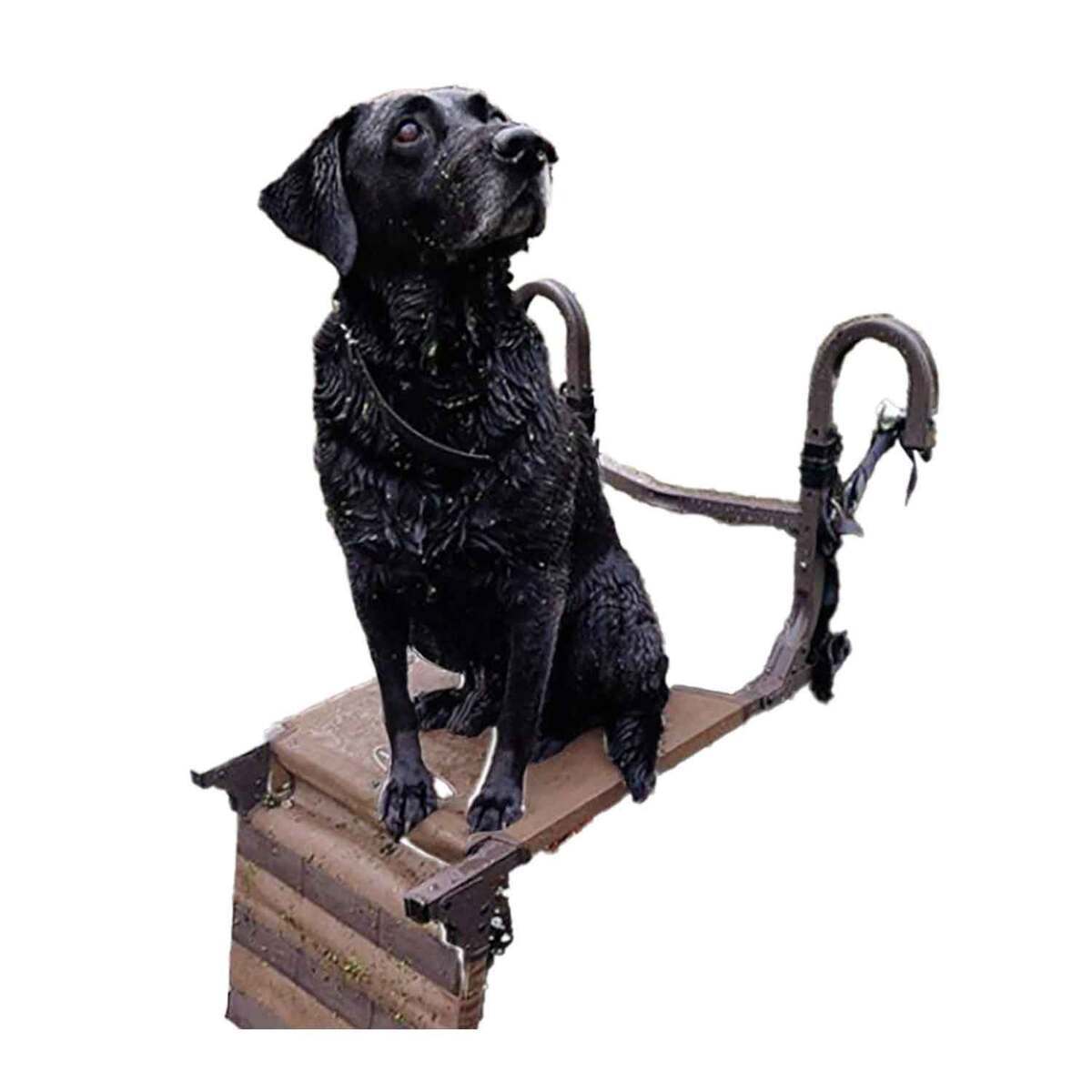 Higdon Outdoors Momarsh Ramp Stand