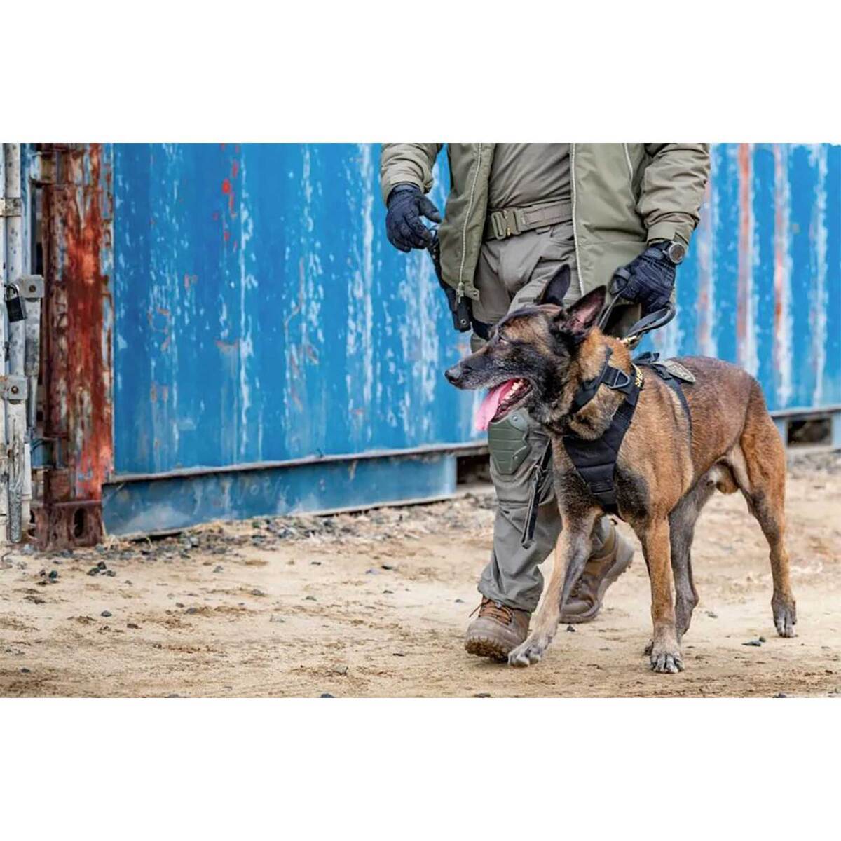 5.11 Tactical Aros K9 Nylon Dog Harness - X-Large 5 5.11 Tactical Aros K9 Nylon Dog Harness - X-Large