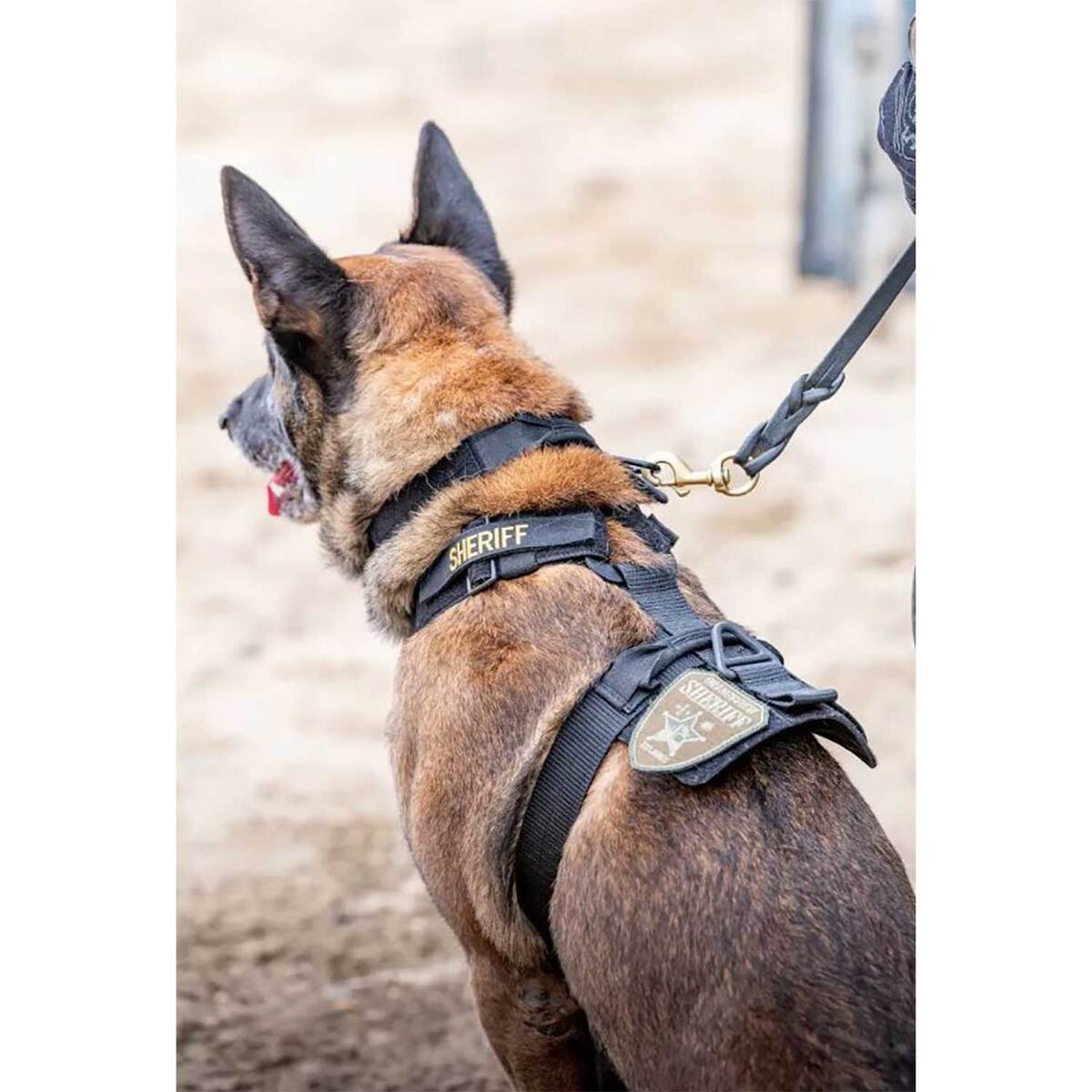 5.11 Tactical Aros K9 Nylon Dog Harness - X-Large 6 5.11 Tactical Aros K9 Nylon Dog Harness - X-Large