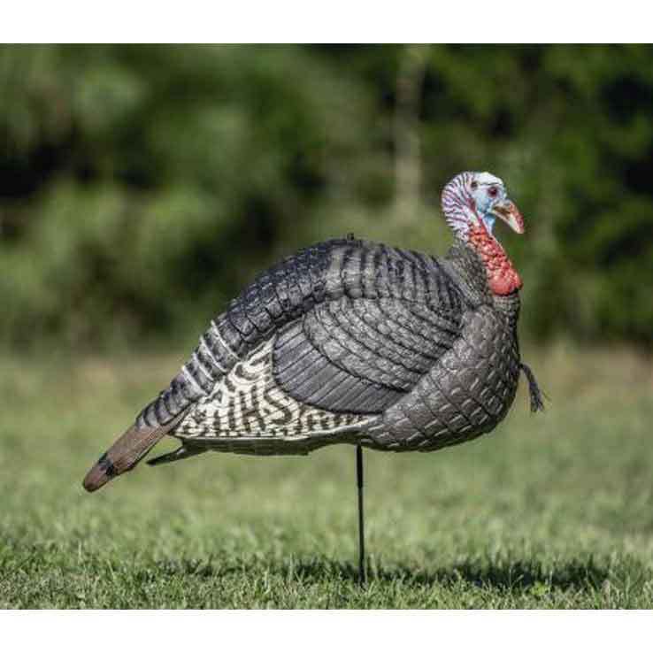 H.S. Strut Lite Jake Turkey Decoy