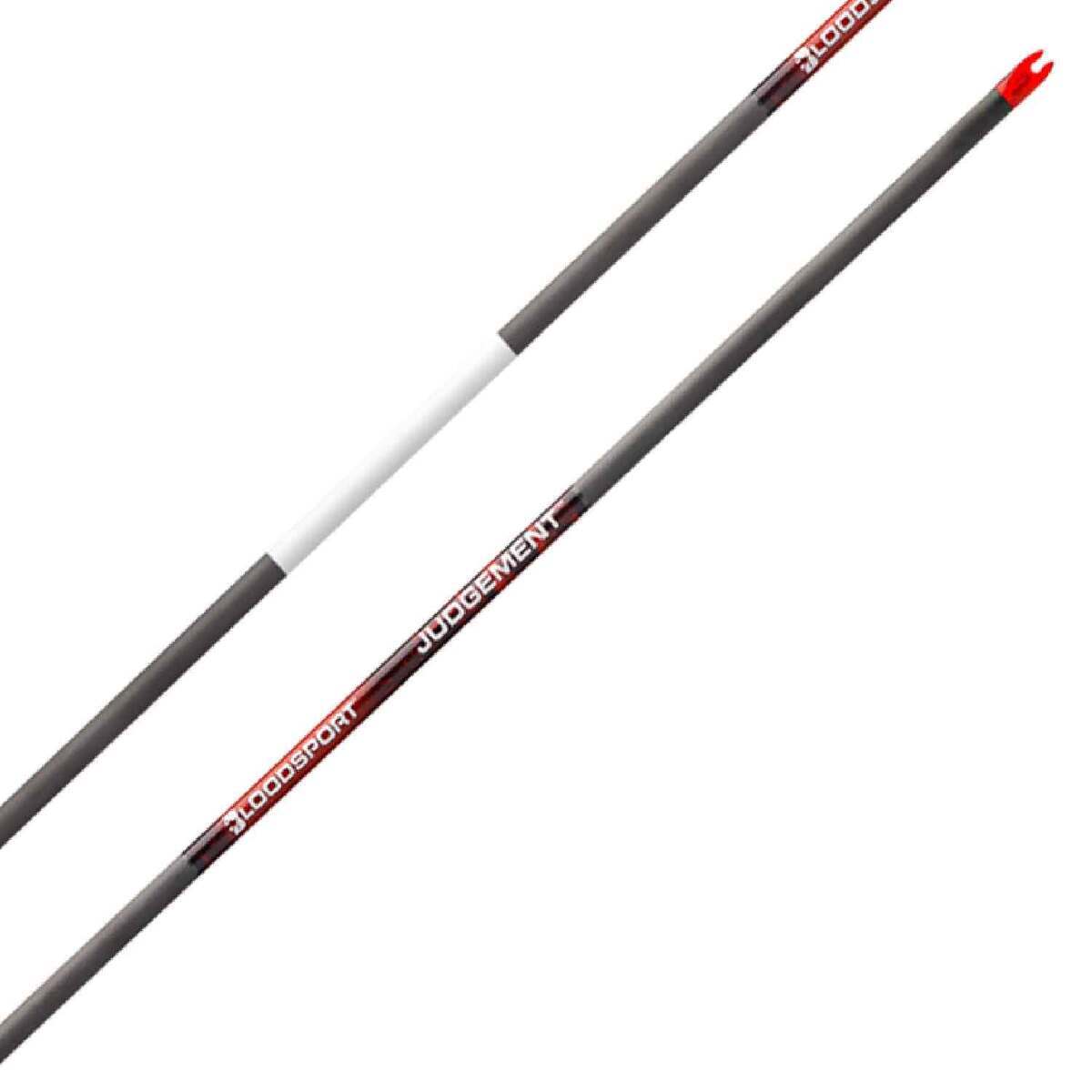 Bloodsport Judgement 300 spine Carbon Arrows - 12 Pack