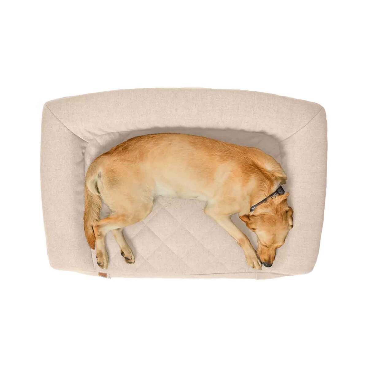 Orvis RecoveryZone Couch Dog Bed 6 Orvis RecoveryZone Couch Dog Bed